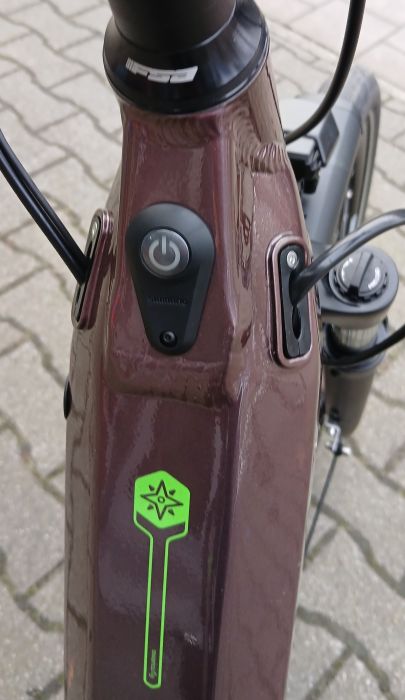 Preview: VICTORIA Elektro-Trekkingrad Herren