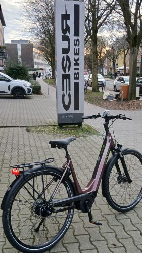 VICTORIA Elektro-Trekkingrad Herren